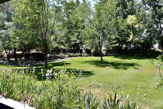 3349 E 4050 N, Twin Falls, ID 83301 - view of yard