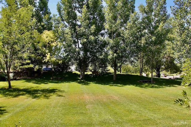 3349 E 4050 N, Twin Falls, ID 83301 - view of green lawn