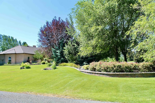 3349 E 4050 N, Twin Falls, ID 83301 - view of green lawn