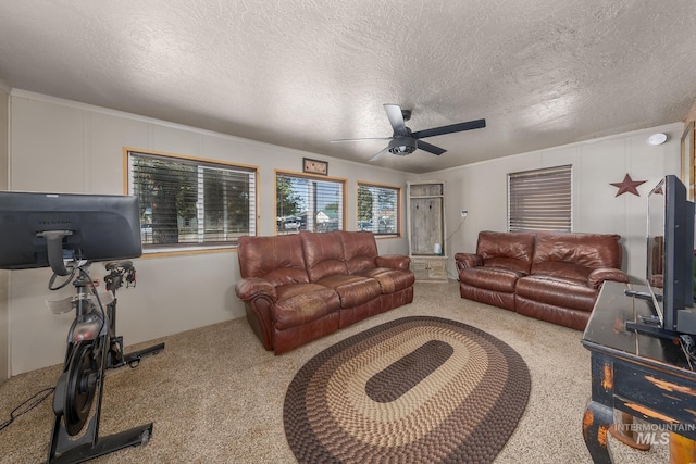 1025 W Galloway Ave, Weiser, ID 83672 - carpeted living room with a ceiling fan and a textured ceiling