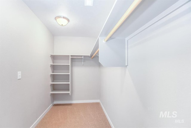 3749 E Rock Falls St, Nampa, ID 83686 - spacious closet with carpet