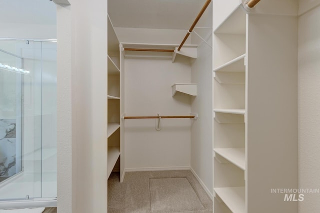 12335 W Red Spruce, Boise, ID 83713 - walk in closet featuring carpet