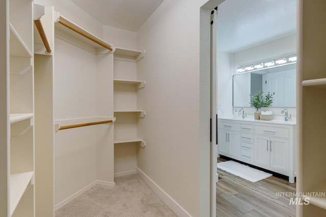 12335 W Red Spruce, Boise, ID 83713 - walk in closet featuring a sink and light carpet