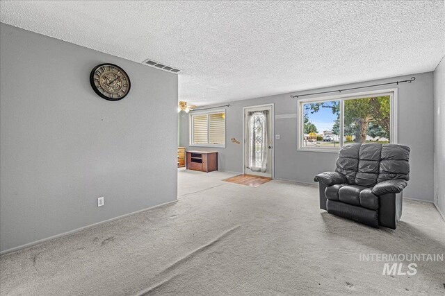 1267 NW Beaman St, Mountain Home, ID 83647 - living area with healthy amount of natural light, a textured ceiling, carpet floors, and baseboards