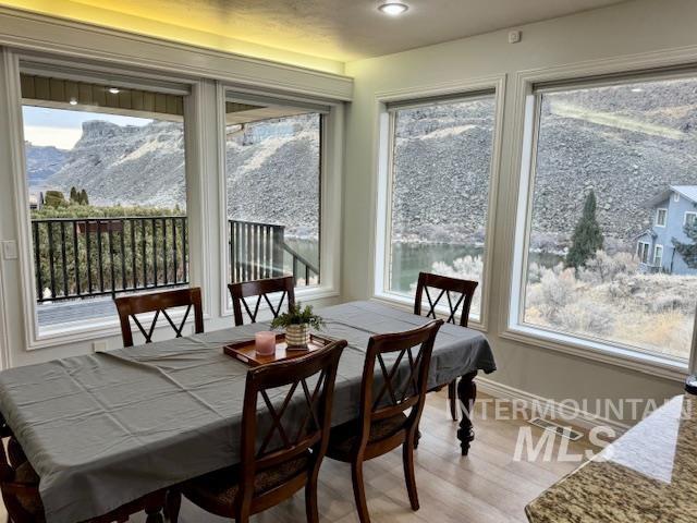 dining room featuring a healthy amount of sunlight, a mountain view, light wood-style flooring, and baseboards