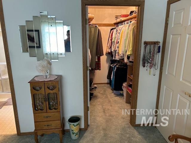 1100 Burnett Dr Unit 348, Nampa, ID 83651 - walk in closet with carpet flooring