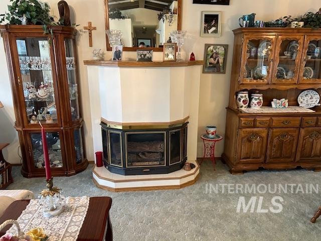 interior space featuring a wood stove and light carpet