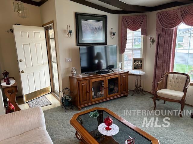 1100 Burnett Dr Unit 348, Nampa, ID 83651 - living area with carpet floors and plenty of natural light