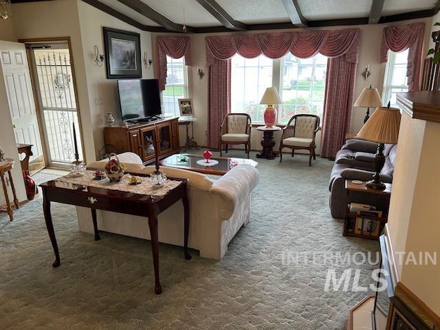 1100 Burnett Dr Unit 348, Nampa, ID 83651 - living room with plenty of natural light, carpet, and beam ceiling