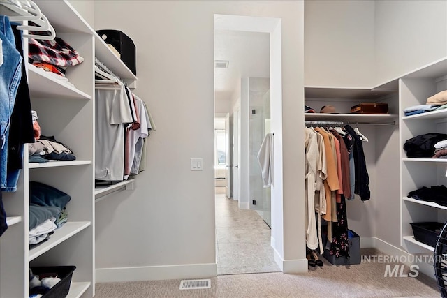 walk in closet with carpet