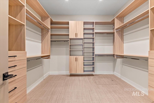 spacious closet with light carpet