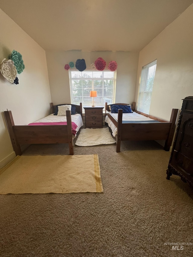 140 W Valley Rd, Hagerman, ID 83332 - bedroom featuring multiple windows and carpet flooring