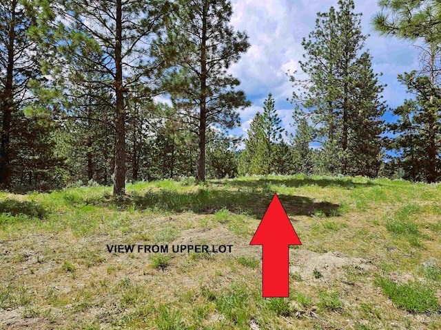 Listing photo 3 for LOT25 Pine Ridge Rd, Boise ID 83716