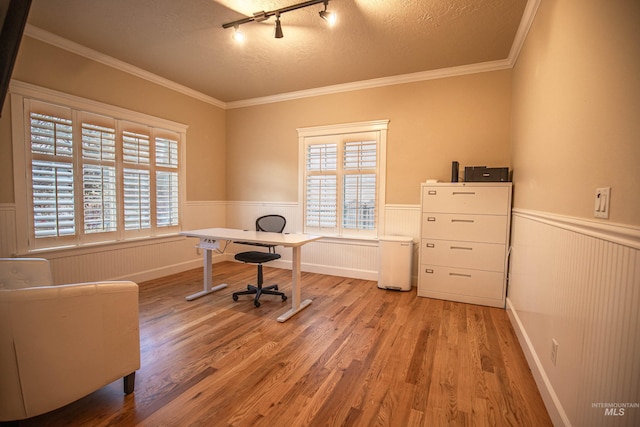 office space with light hardwood / wood-style floors, ornamental molding, a textured ceiling, and track lighting