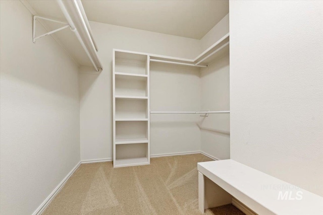 walk in closet with light colored carpet