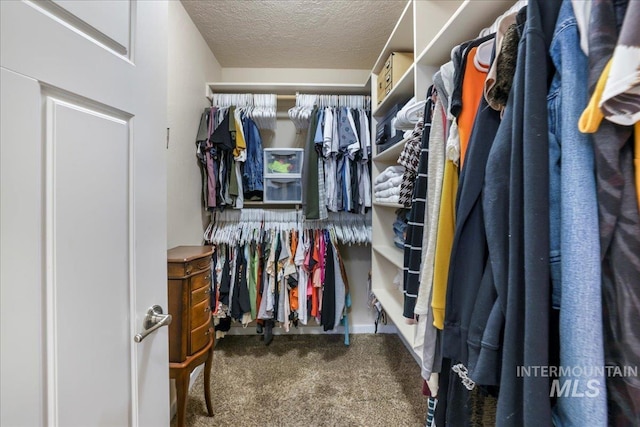 614 Ethan Ct, Jerome, ID 83338 - walk in closet with carpet