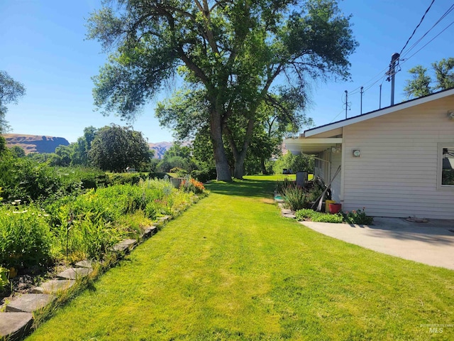 708 16th St, Clarkston, WA 99403 - view of green lawn