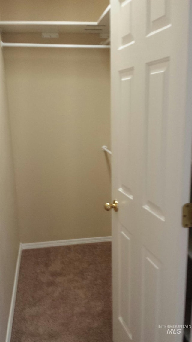 walk in closet featuring carpet floors