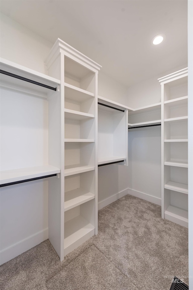 1246 E Rio Chico Dr, Kuna, ID 83634 - walk in closet with carpet floors