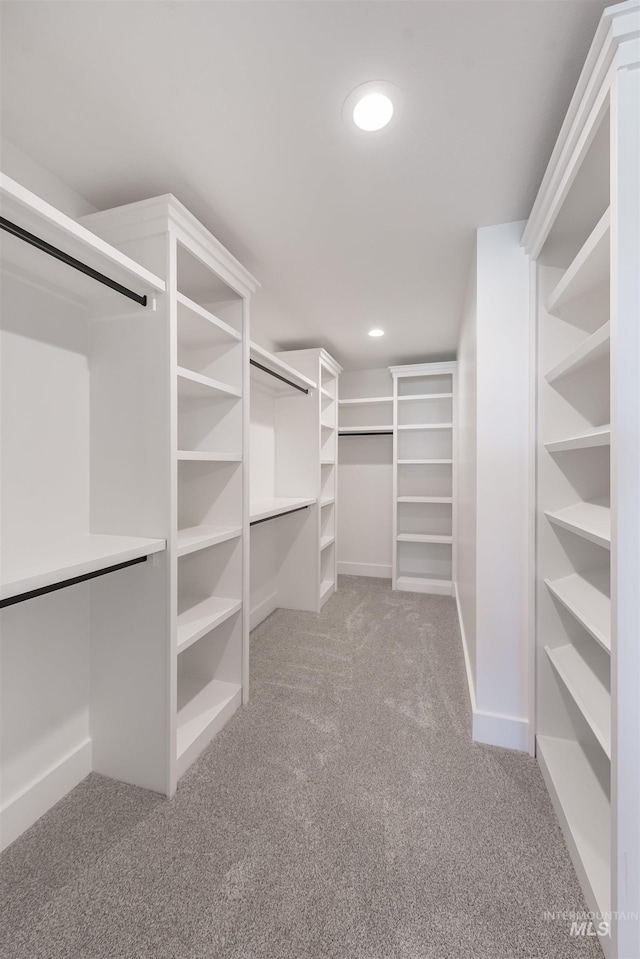 1246 E Rio Chico Dr, Kuna, ID 83634 - walk in closet featuring carpet flooring