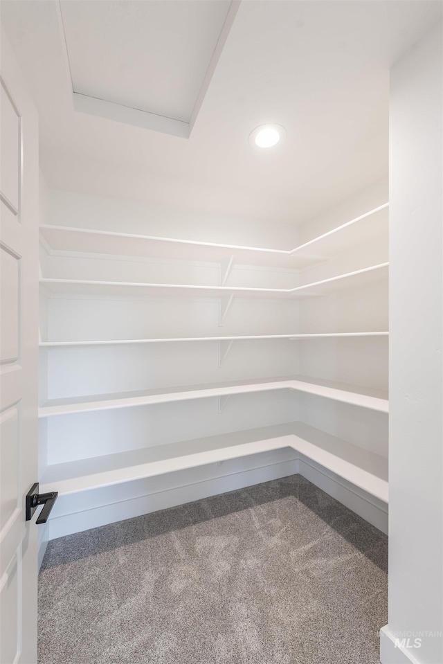 1246 E Rio Chico Dr, Kuna, ID 83634 - view of storage area