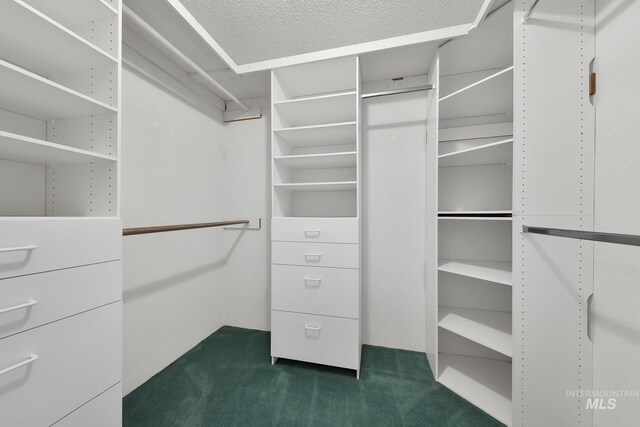 204 Hilldrop St, Caldwell, ID 83605 - spacious closet with dark carpet