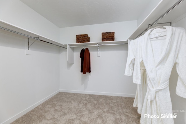 walk in closet featuring carpet