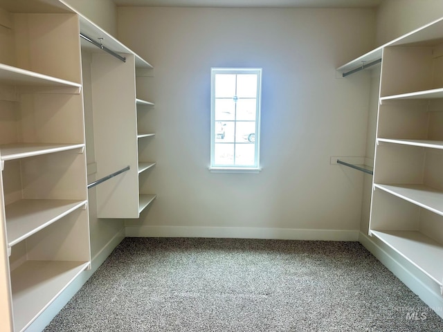 walk in closet with carpet floors