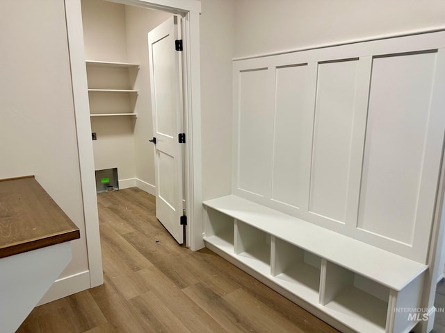 mudroom featuring wood finished floors