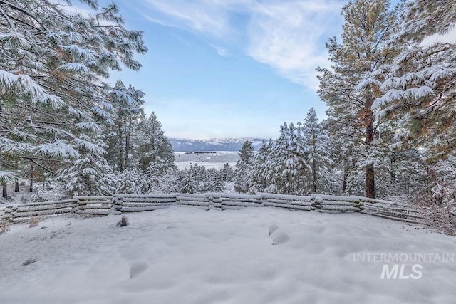 view of yard covered in snow