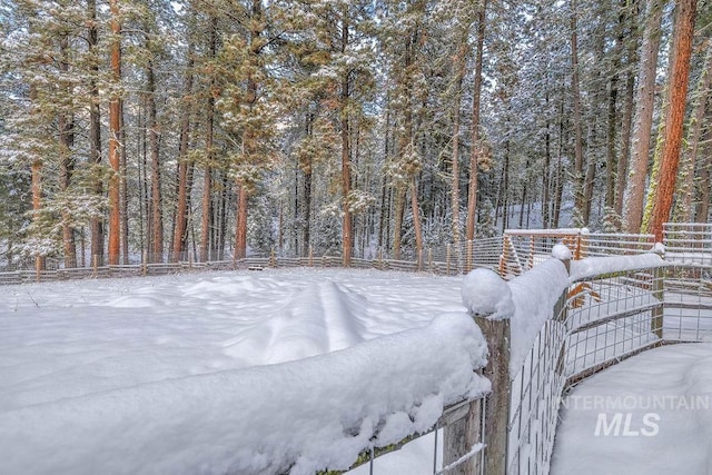 view of snowy yard