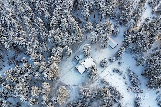 view of snowy aerial view