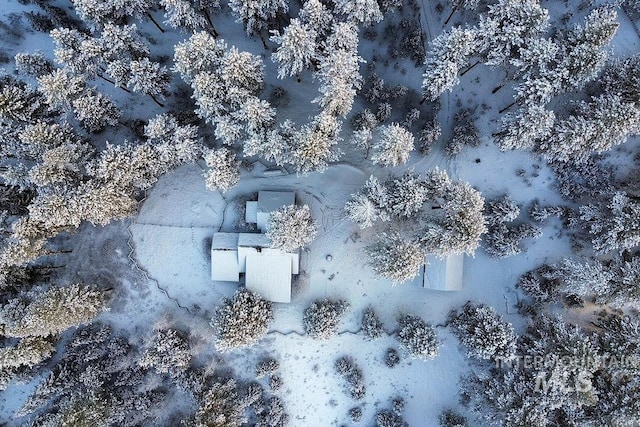 view of snowy aerial view