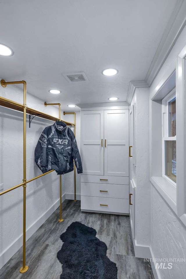 walk in closet with dark hardwood / wood-style floors