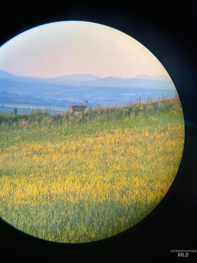 TBD Grace Ln Unit B2, Grangeville, ID 83530