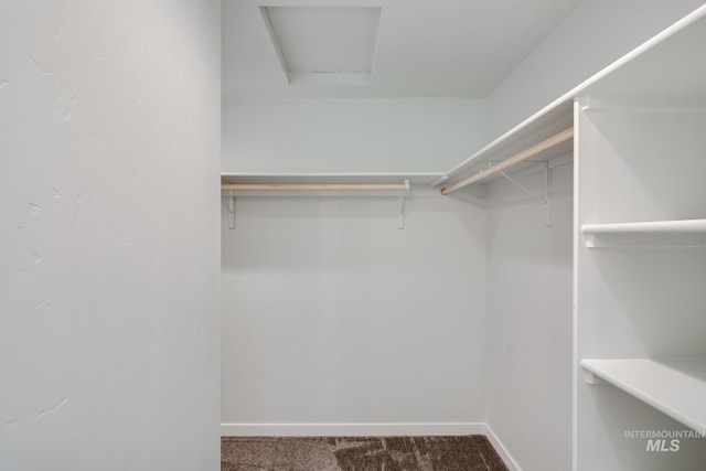 spacious closet with carpet and attic access