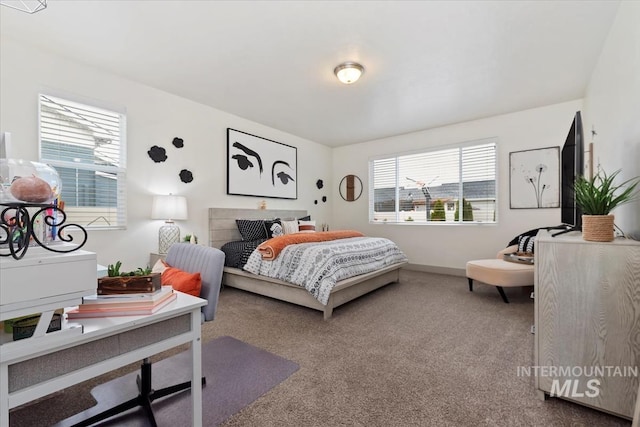 bedroom featuring carpet, multiple windows, and baseboards