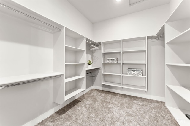 6536 W Flathead Lake St, Eagle, ID 83616 - walk in closet featuring carpet flooring