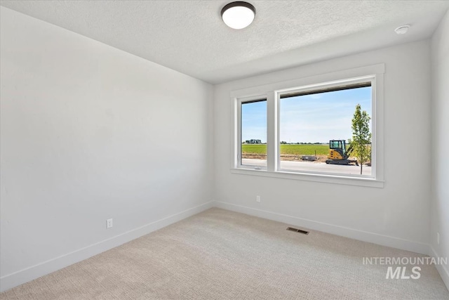 8506 W Graye St, Meridian, ID 83646 - empty room with carpet, a textured ceiling, and baseboards