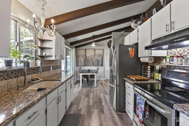kitchen with a notable chandelier, appliances with stainless steel finishes, a sink, tasteful backsplash, and under cabinet range hood