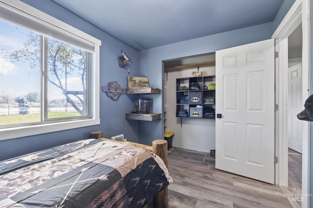 bedroom featuring a closet and wood finished floors