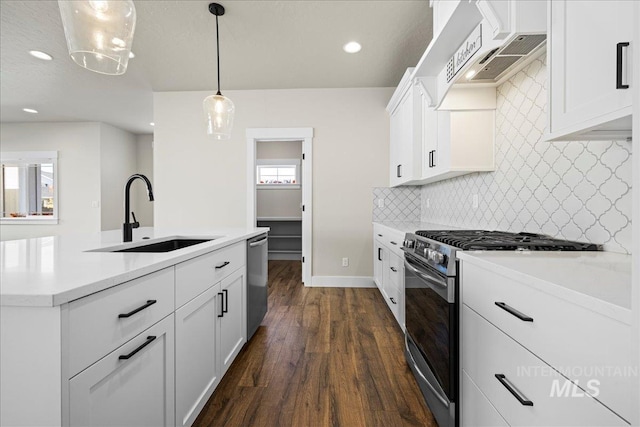 2187 E Hidcote St, Meridian, ID 83642 - kitchen featuring a sink, appliances with stainless steel finishes, custom exhaust hood, dark wood-type flooring, and light countertops