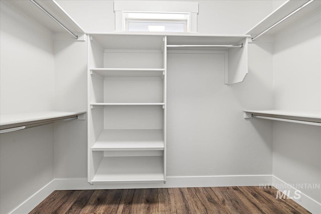 2187 E Hidcote St, Meridian, ID 83642 - spacious closet featuring dark wood-style flooring