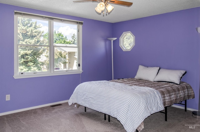 3344 N Tumbleweed, Boise, ID 83713 - bedroom with multiple windows, carpet flooring, baseboards, and ceiling fan