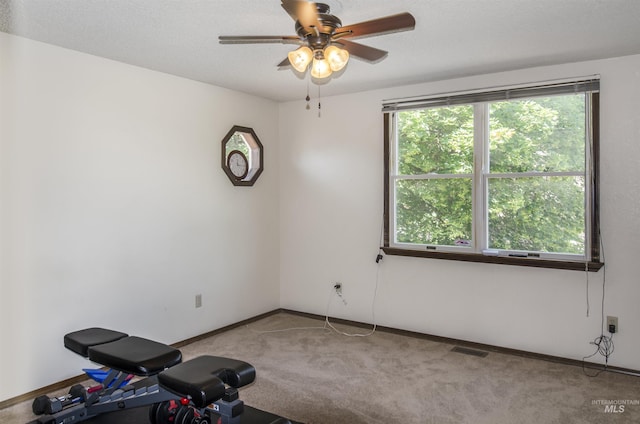 3344 N Tumbleweed, Boise, ID 83713 - workout area with light colored carpet, ceiling fan, and baseboards