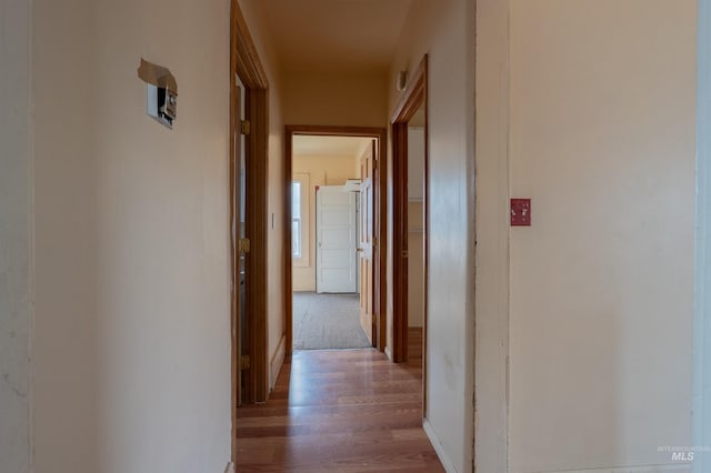 hallway featuring wood finished floors