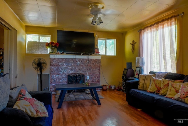 living room featuring a fireplace and wood finished floors