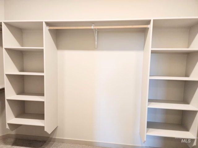view of closet