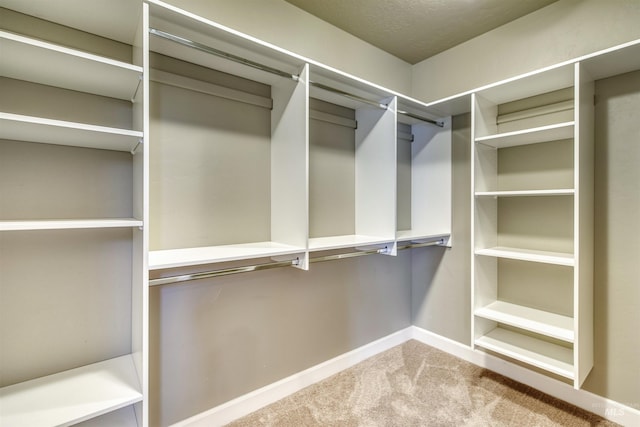 walk in closet with carpet flooring