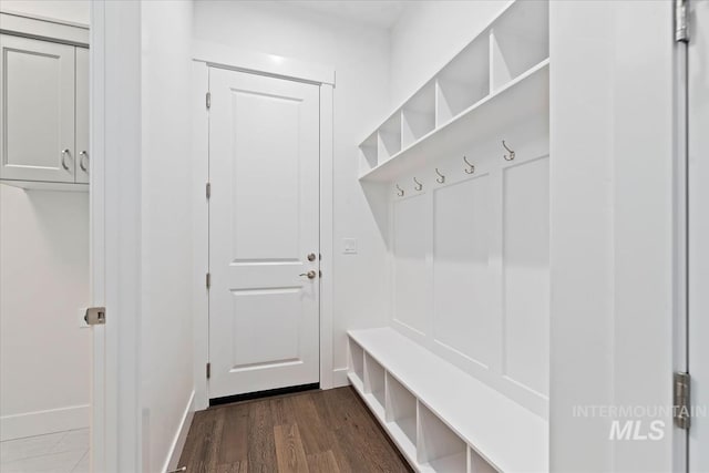 mudroom featuring dark hardwood / wood-style floors